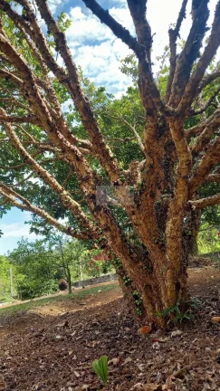 Imagem CHÁCARA JARDIM CANANÉIA