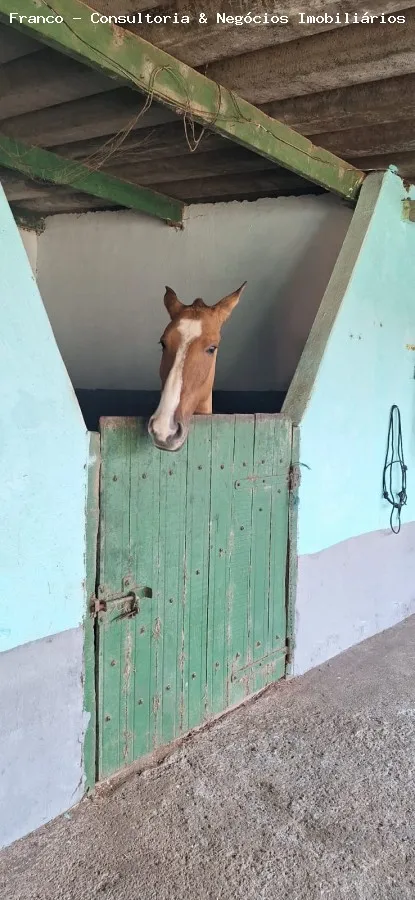 Imagem Haras para Locação em São Bernardo do Campo, Balneária