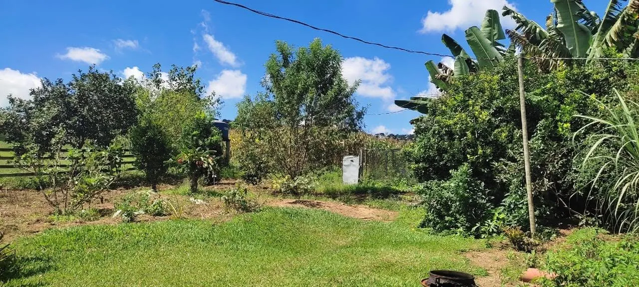 Imagem vendo um belo sítio em Piedade dos Gerais /MG com 12 hectares de terra ( 120.000 m² ),