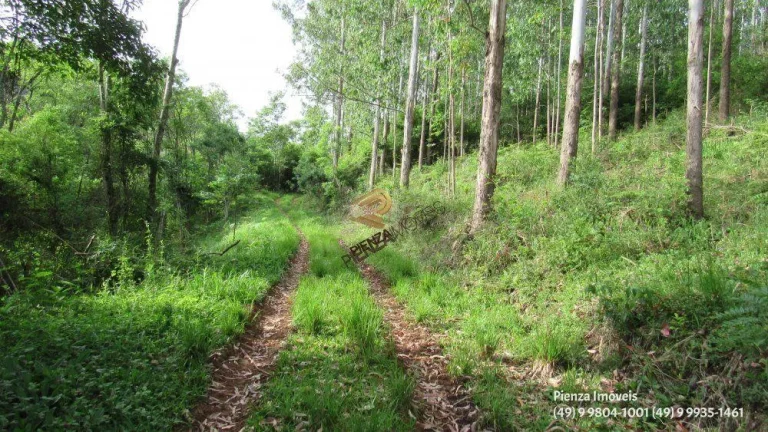 Imagem Terreno para Venda em Concórdia, Planalto