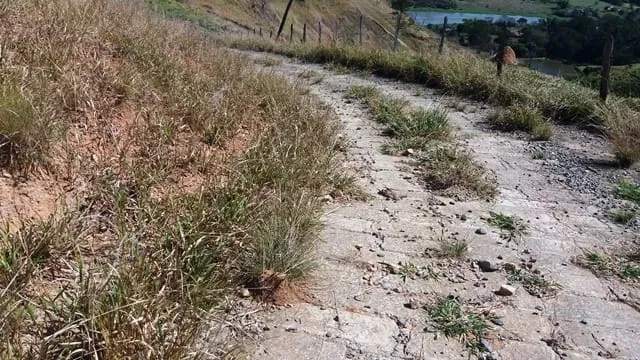 Imagem Chácara à venda Zona Rural, Lavrinhas - SP