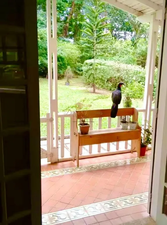 Imagem Sítio para Venda em Petrópolis / RJ no bairro Itaipava