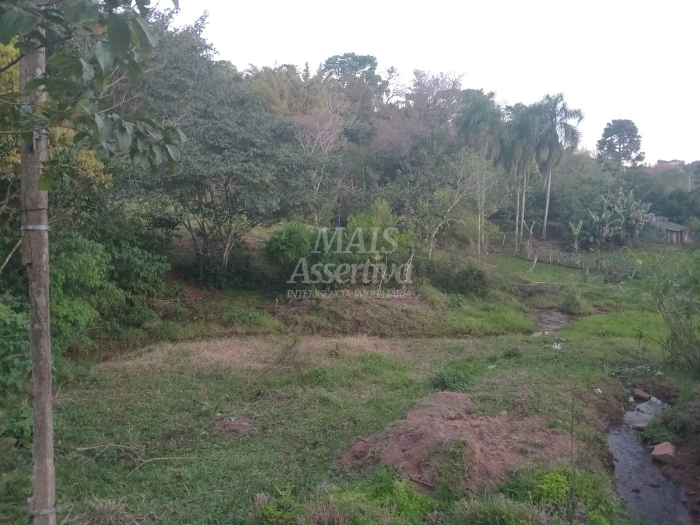 Imagem Excelente Chácara para Venda em Taquara Bairro Pega Fogo