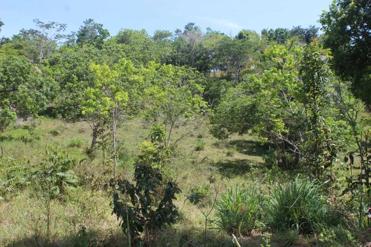 Imagem Sítio à venda em Mata de São João, com 2 quartos, 201m2m2