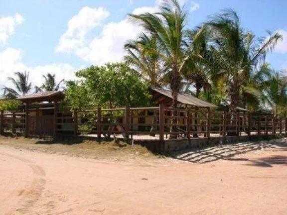 Imagem O investimento da sua aposentadoria. Praia do lugar.