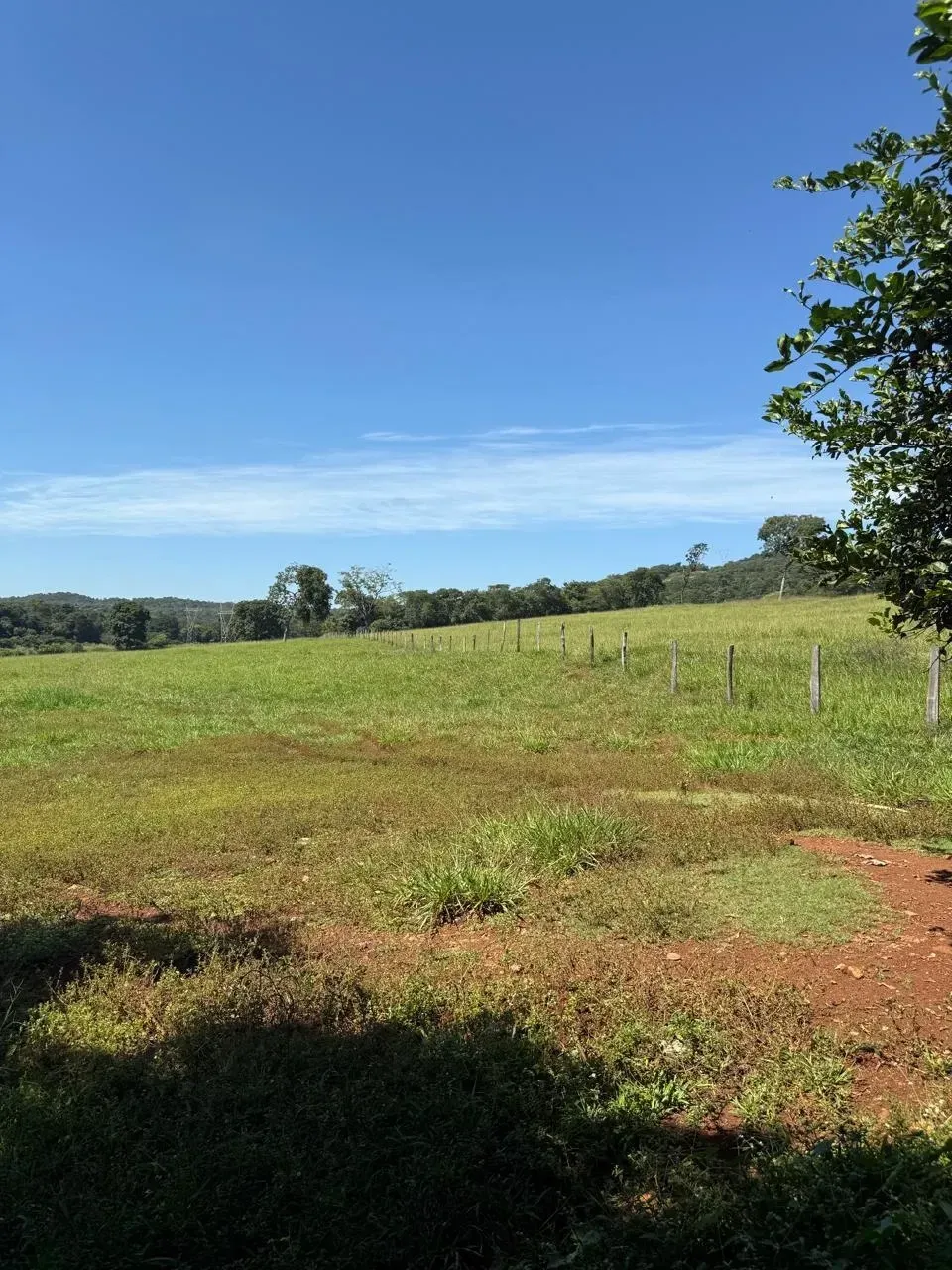 Imagem Fazenda à Venda, 28 Alq. GO em Área Rural de Itumbiara - Itumbiara