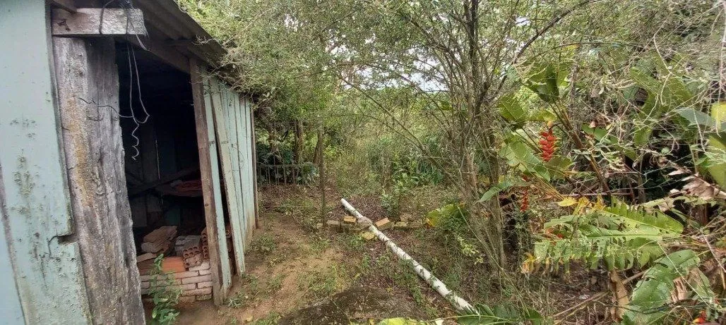Imagem Terreno em Vila Nova