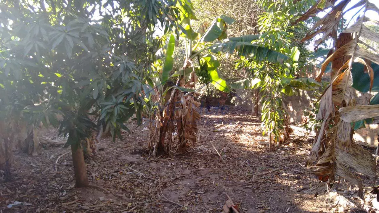 Imagem Casa Padrão