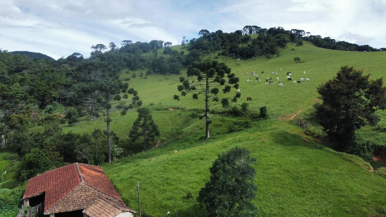Imagem Sítio em Joanópolis - 11 alqueires