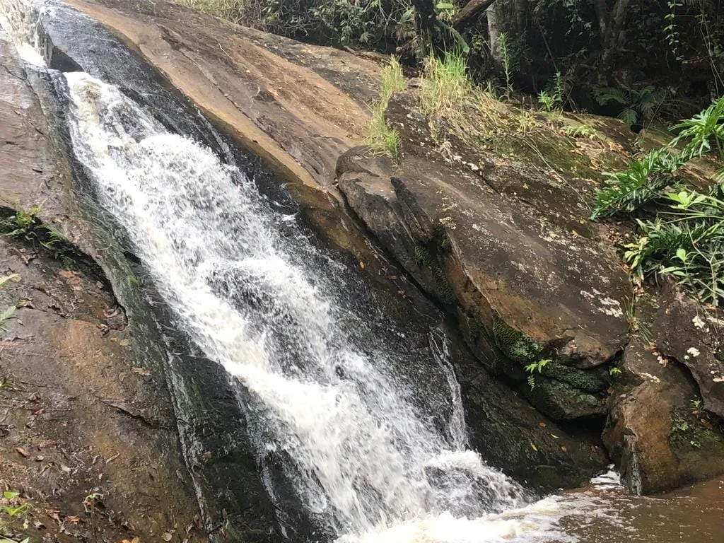Imagem Chácara à venda 1 Quarto, 57596M², Pinga, Pindamonhangaba - SP