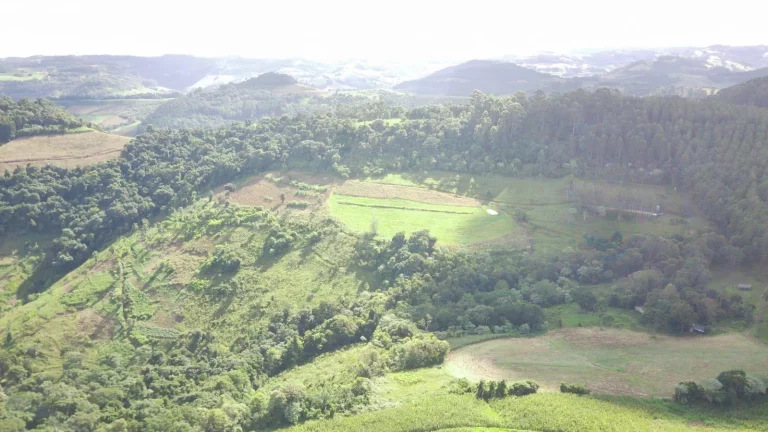 Imagem Área Agrícola para Venda em Arabuta, Sc-154