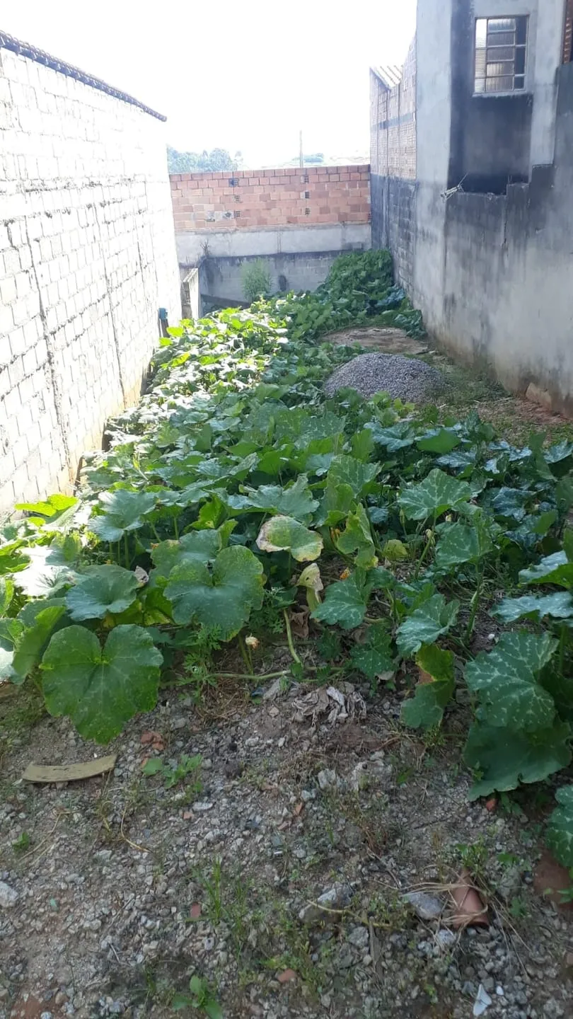 Imagem Terreno à venda 125M², Jardim Marlene Miranda, Taubaté - SP