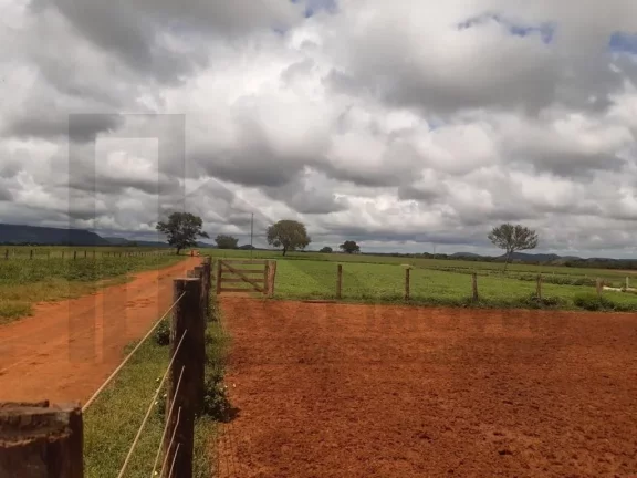 Imagem CASAL IMÓVEIS VENDE FAZENDA 4.095 ALQUEIRES - ARAGUAÍNA/TOCATINS