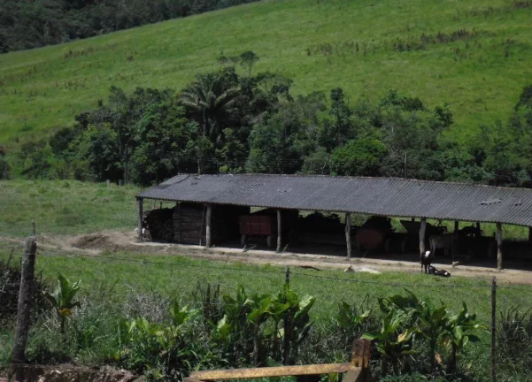 Imagem FAZENDA FORMADA com 50 alqueires no Interior de São Paulo