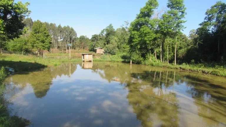 Imagem Casa para Venda em Lindóia do Sul, Centro, 1 dormitório, 1 banheiro