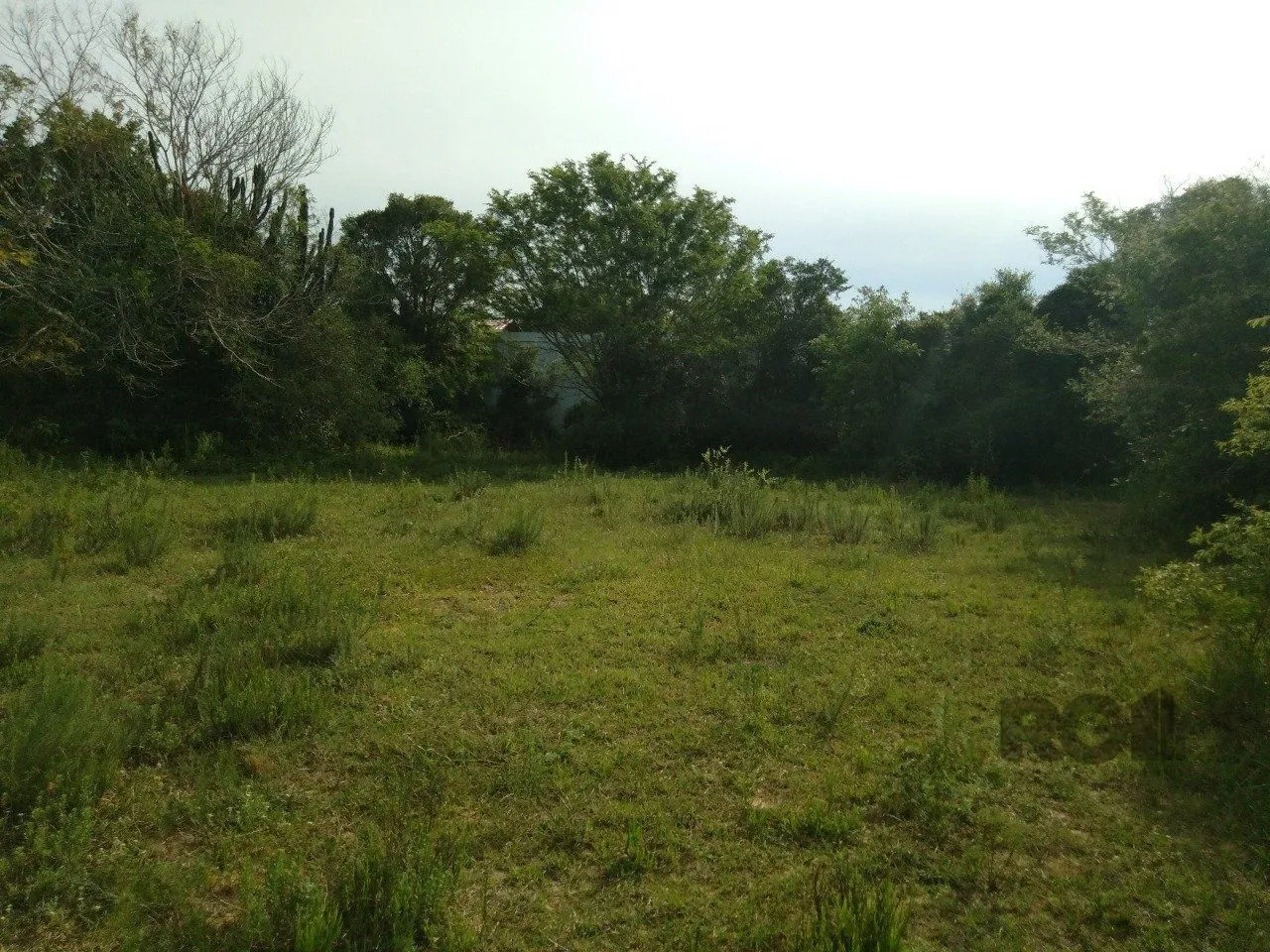 Imagem SITIO EM VIAMAO, RS, A VENDA, NAS PROXIMIDADES COM RS-040 E CONDOMINIO GOUFE II