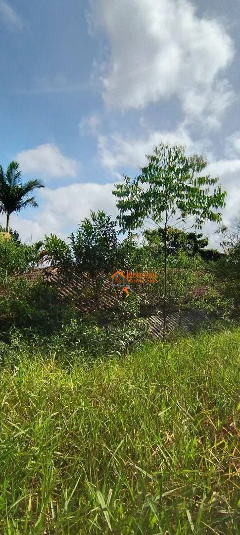 Imagem Chácara com 3 dormitórios à venda, 1760 m² por R$ 620.000,00 - Zona Rural - Arujá/SP