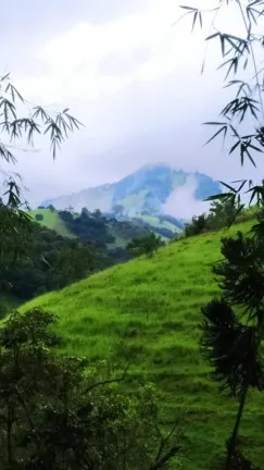 Imagem Chácara com 3 Quartos à Venda, 23.200 m² em Rio Lourenço Velho  - Delfim Moreira