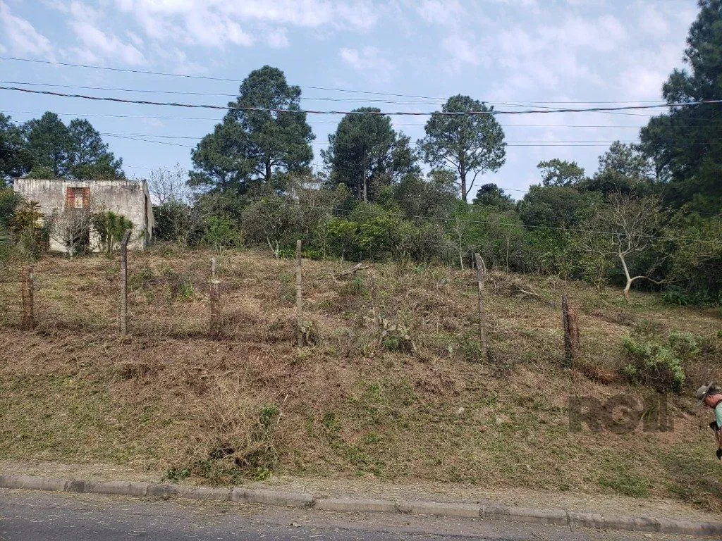 Imagem Terreno em Vila Nova