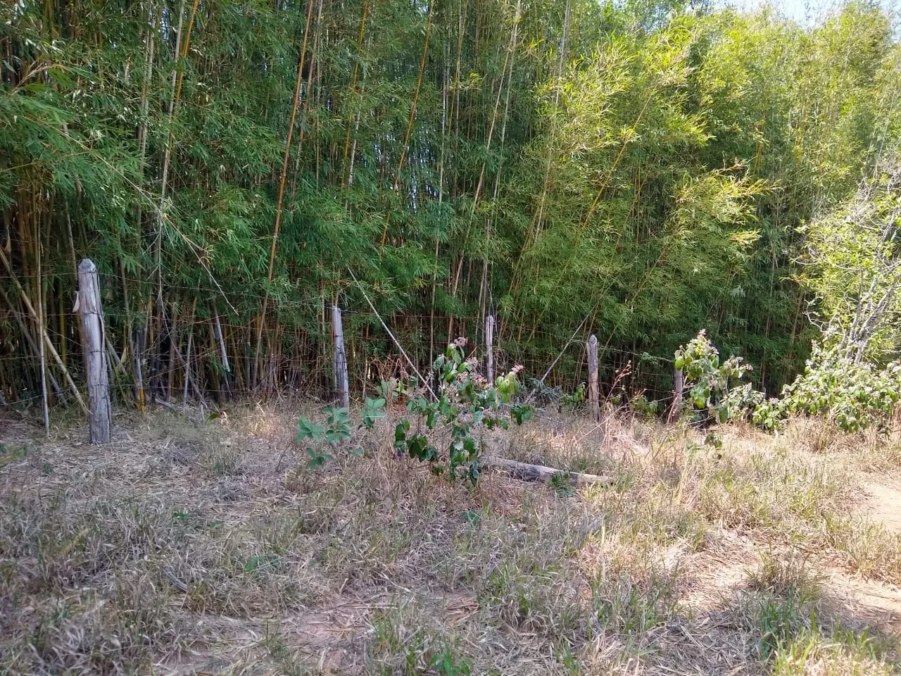 Imagem Chácara à venda 25000M², Mandú, Pindamonhangaba - SP