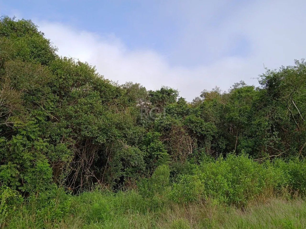 Imagem Terreno para Venda - 4950m², 0 dormitórios, Vila Nova, Porto Alegre