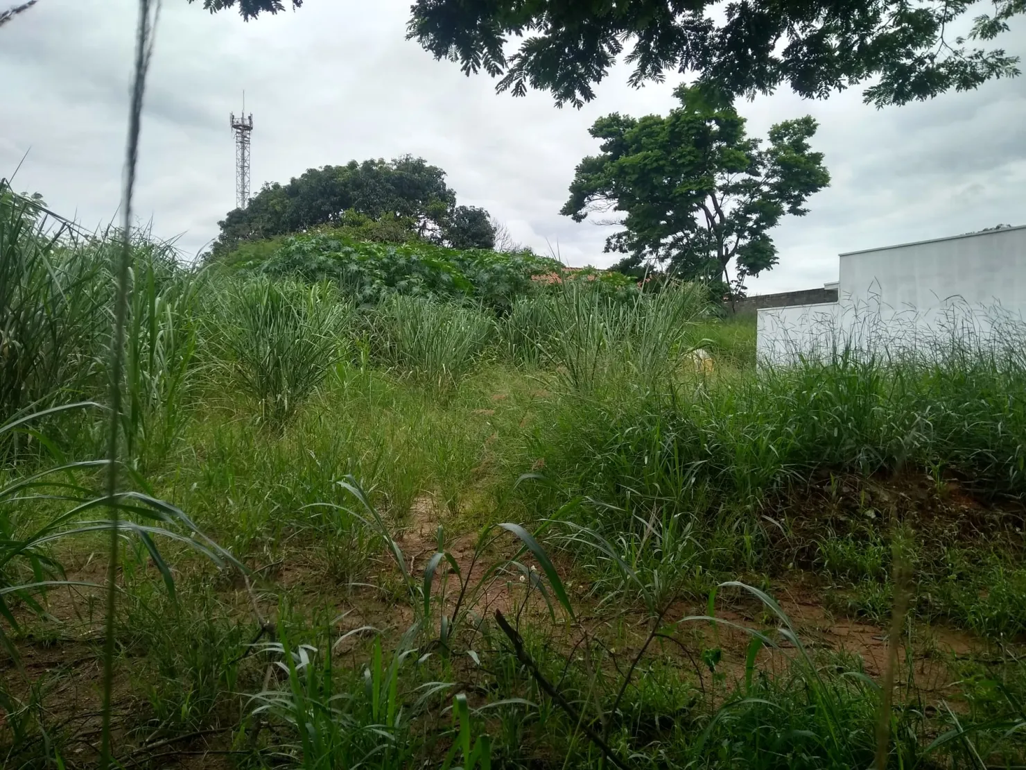 Foto do imóvel Terreno à venda 300M², Jardim Santa Tereza, Taubaté - SP