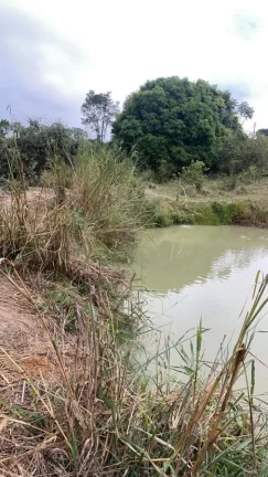Foto do imóvel Chácara  Bairro Rio Verde  Bauru/SP  20.000m² em Rodovia Cezário José de Castilho