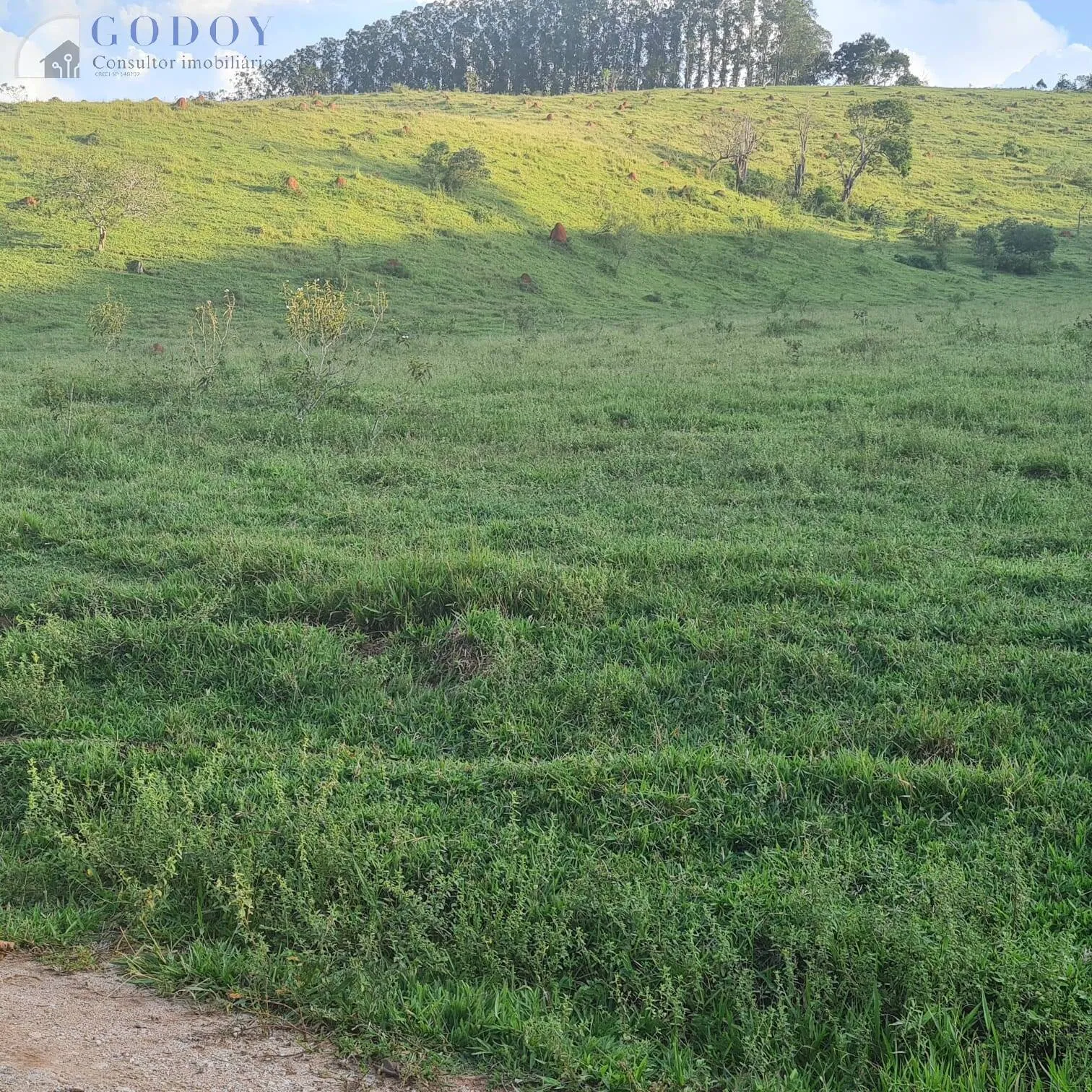 Imagem Área Rural à Venda com Ótimo Acesso e Energia - 2,3 Alqueires