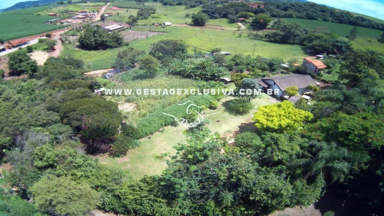 Imagem SÍTIO 7500M² LAGO NASCENTE POMAR 3 DORM 1 SUITE HORTA E POÇO.
