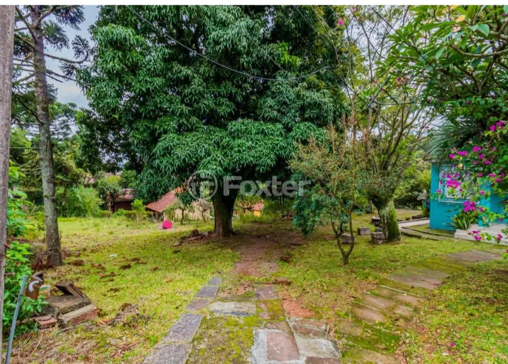 Imagem Terreno em Nonoai