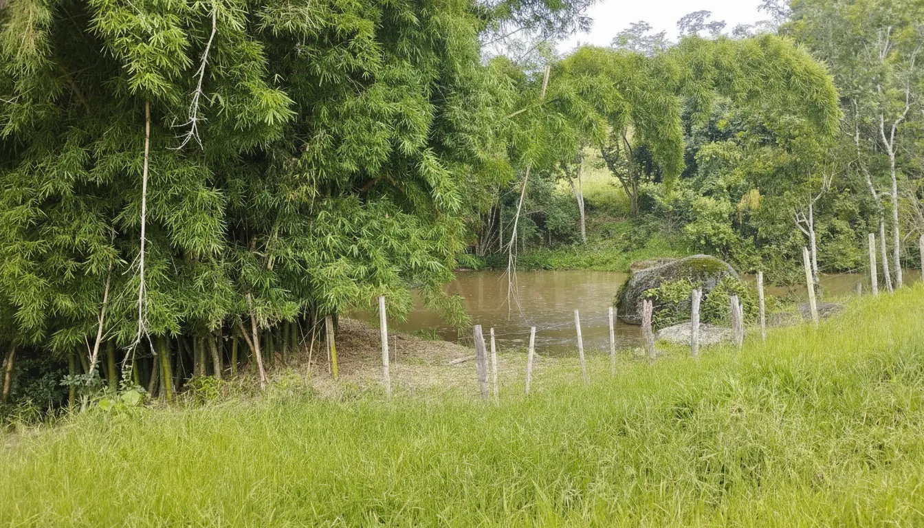 Imagem Sítio 79,88 ha à venda em Rio Pardo, Caldas