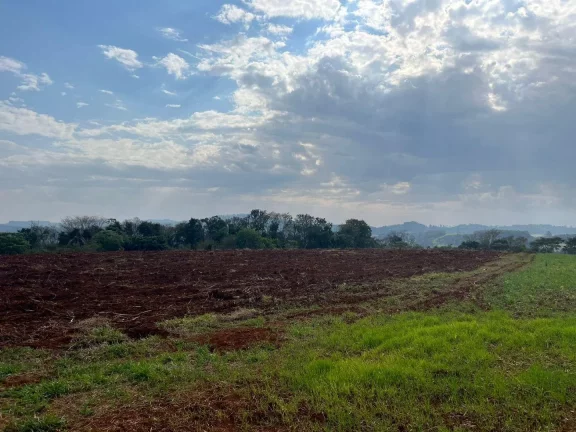 Imagem Terreno para Venda em Concórdia, Rural