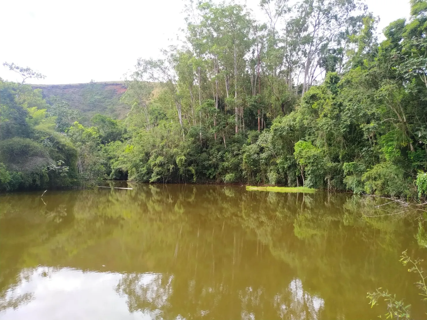 Imagem Chácara à venda 170000M², Bom Sucesso, Pindamonhangaba - SP