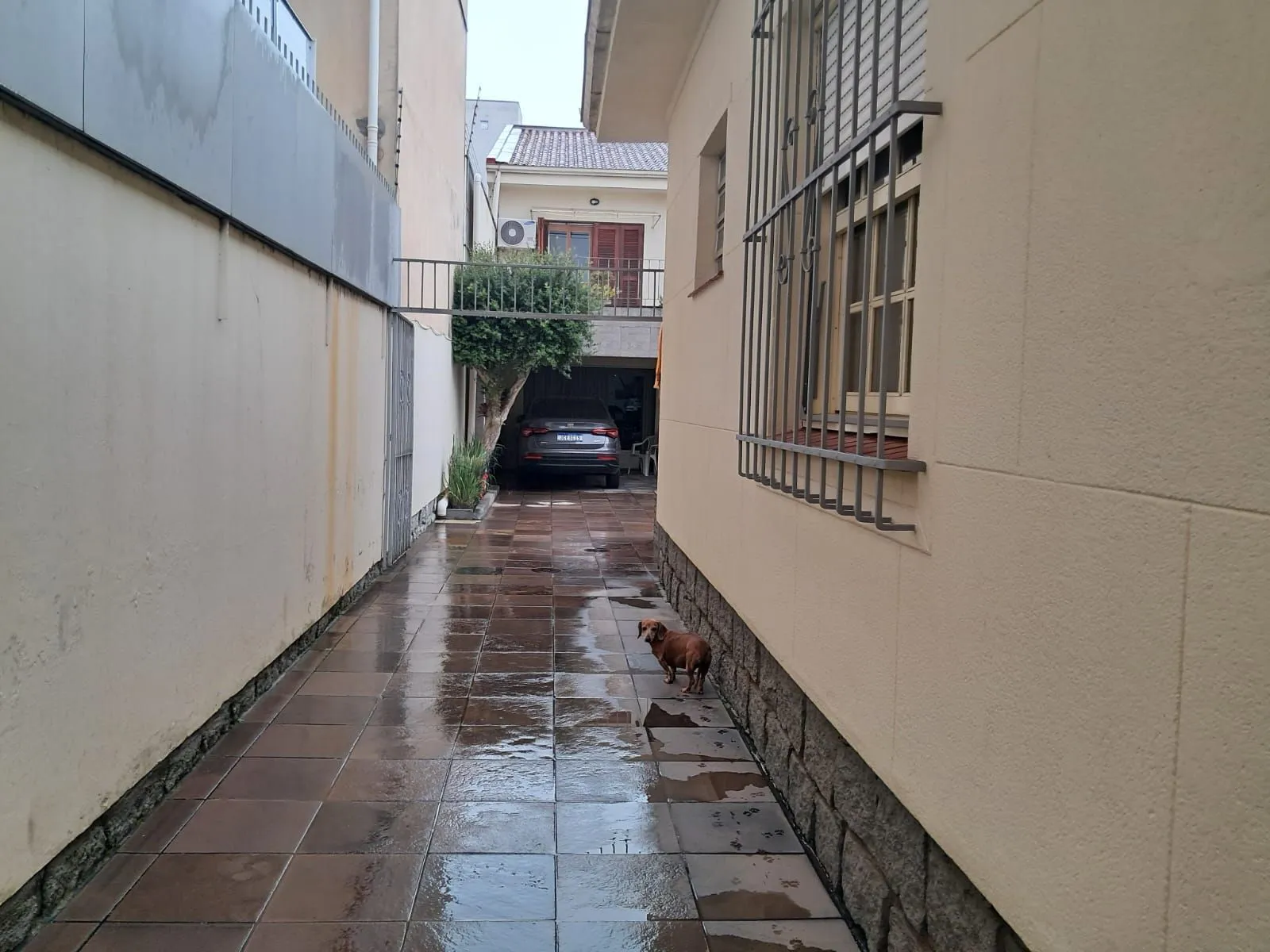 Imagem Terreno com 2 casas, totalizando 434,72m2. Excelente lotalização no coração do Menino Deus