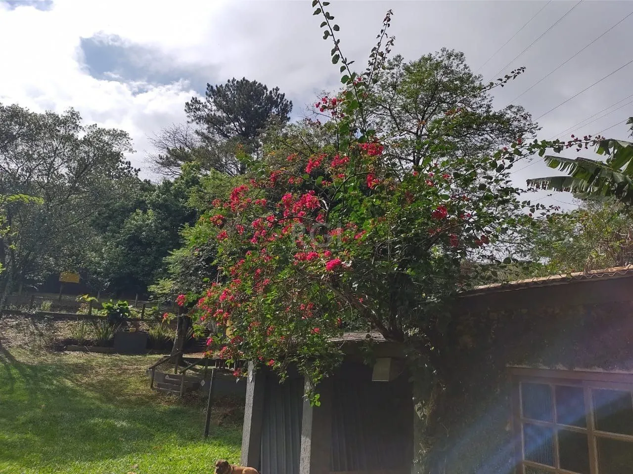 Imagem Terreno a venda no bairro Gloria - Av. Oscar Pereira