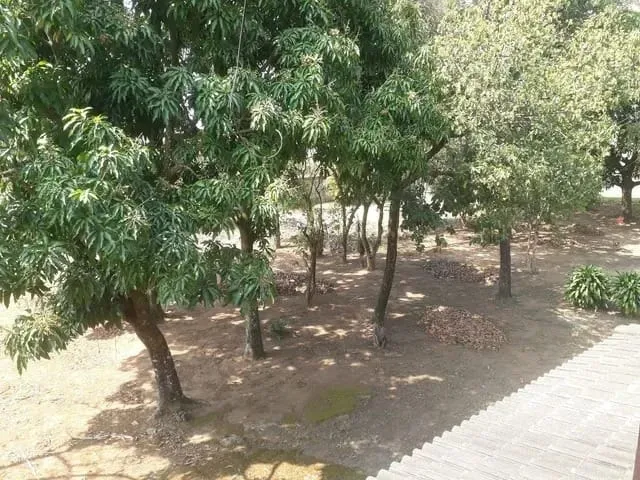 Imagem Chácara à venda 4 Quartos, 1 Suite, Jardim Princesa, Pindamonhangaba - SP