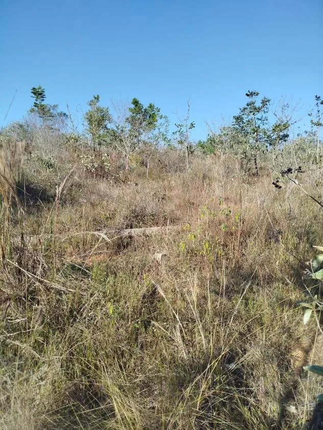 Imagem Vendo uma excelente fazenda em Oliveira / MG 100 hectares de área total;