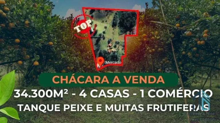 Imagem Chácara 04 casas, um comércio, tanque de peixes, ótimo investimento em QUATRO BARRAS PR