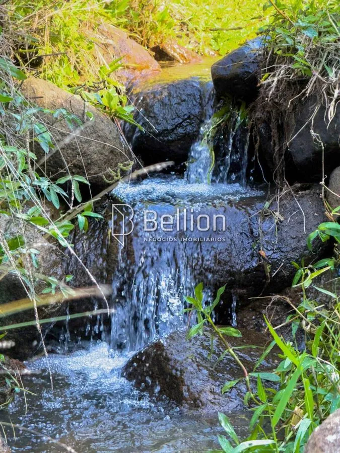 Imagem Sítio com Ribeirão e 6.000m² em Benedito Novo - Ideal para Chalés ou Moradia!