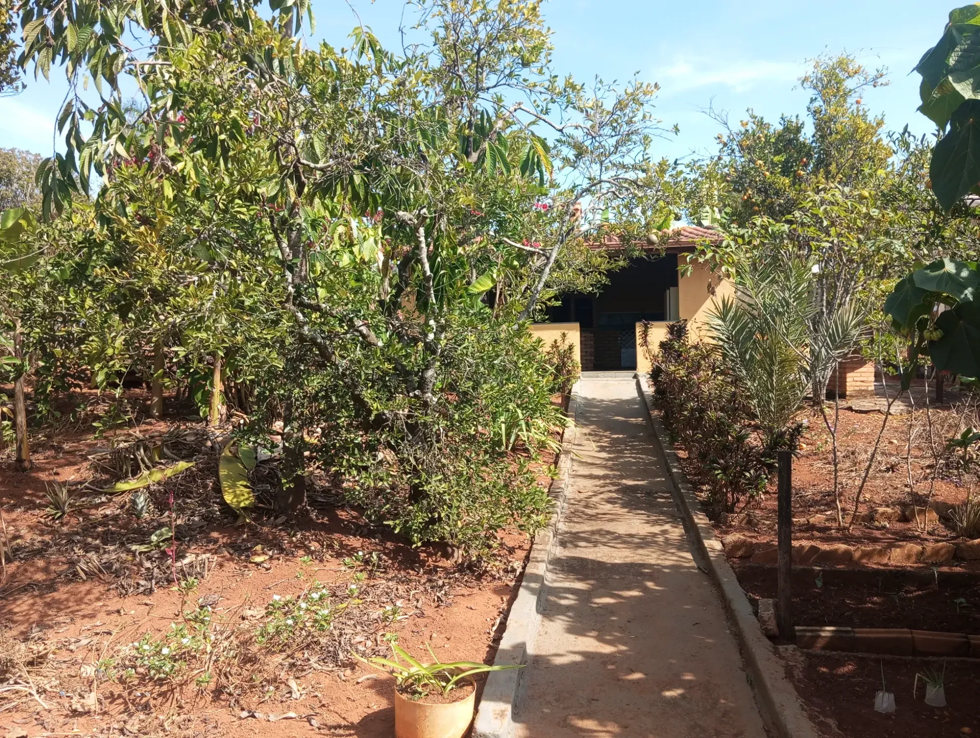 Imagem Chácara com 1 Quarto à Venda, 1040 metros em  - Igarapé / MG