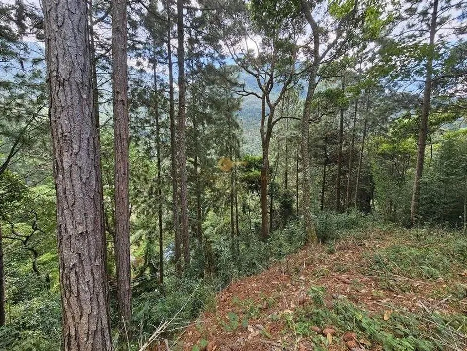 Imagem Terreno para Venda em Teresópolis / RJ no bairro Cascata dos Amores