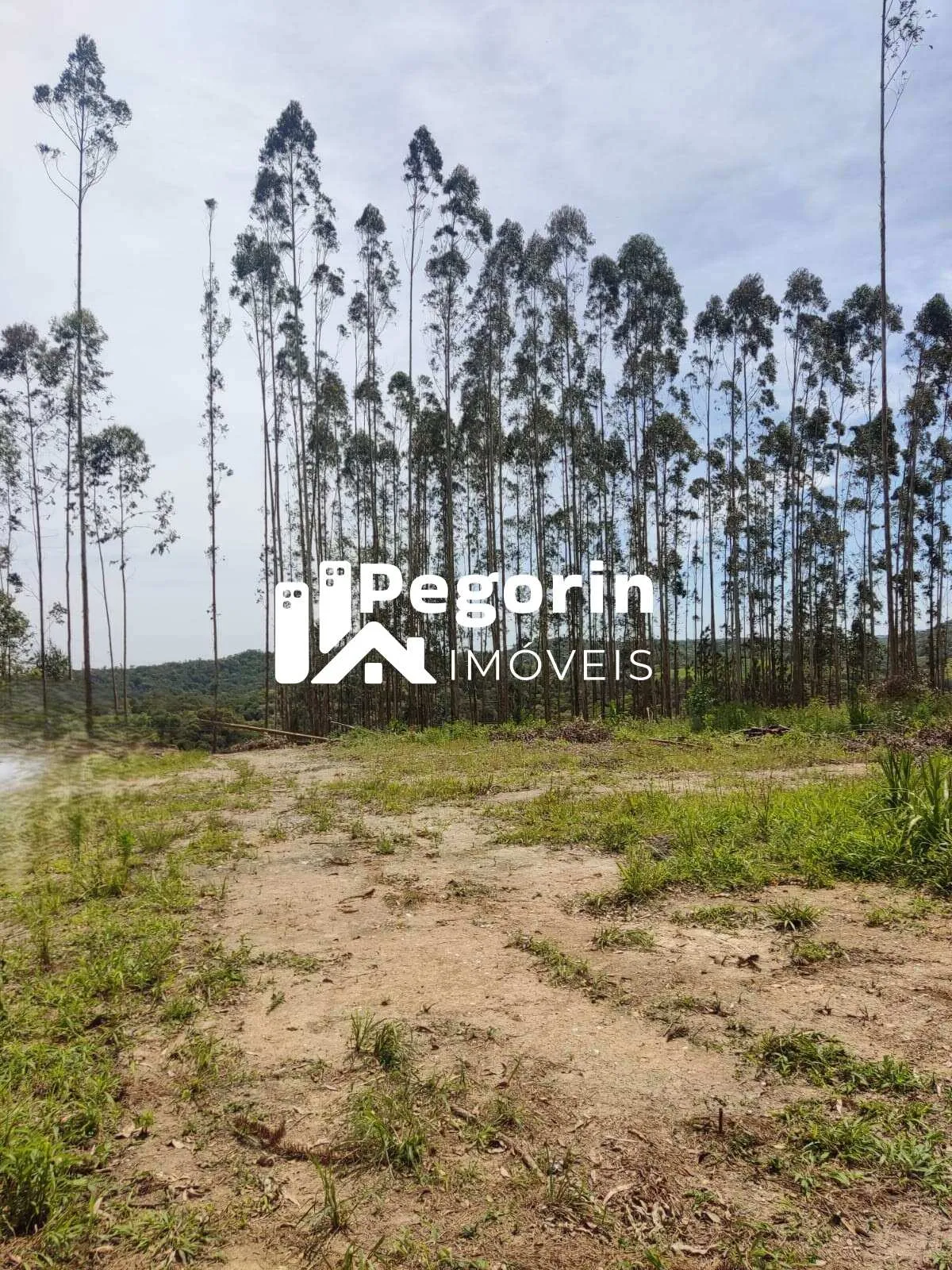 Imagem Chácara para Venda, Campo Magro / PR, bairro Hervalzinho, área total 24.397,00 m²
