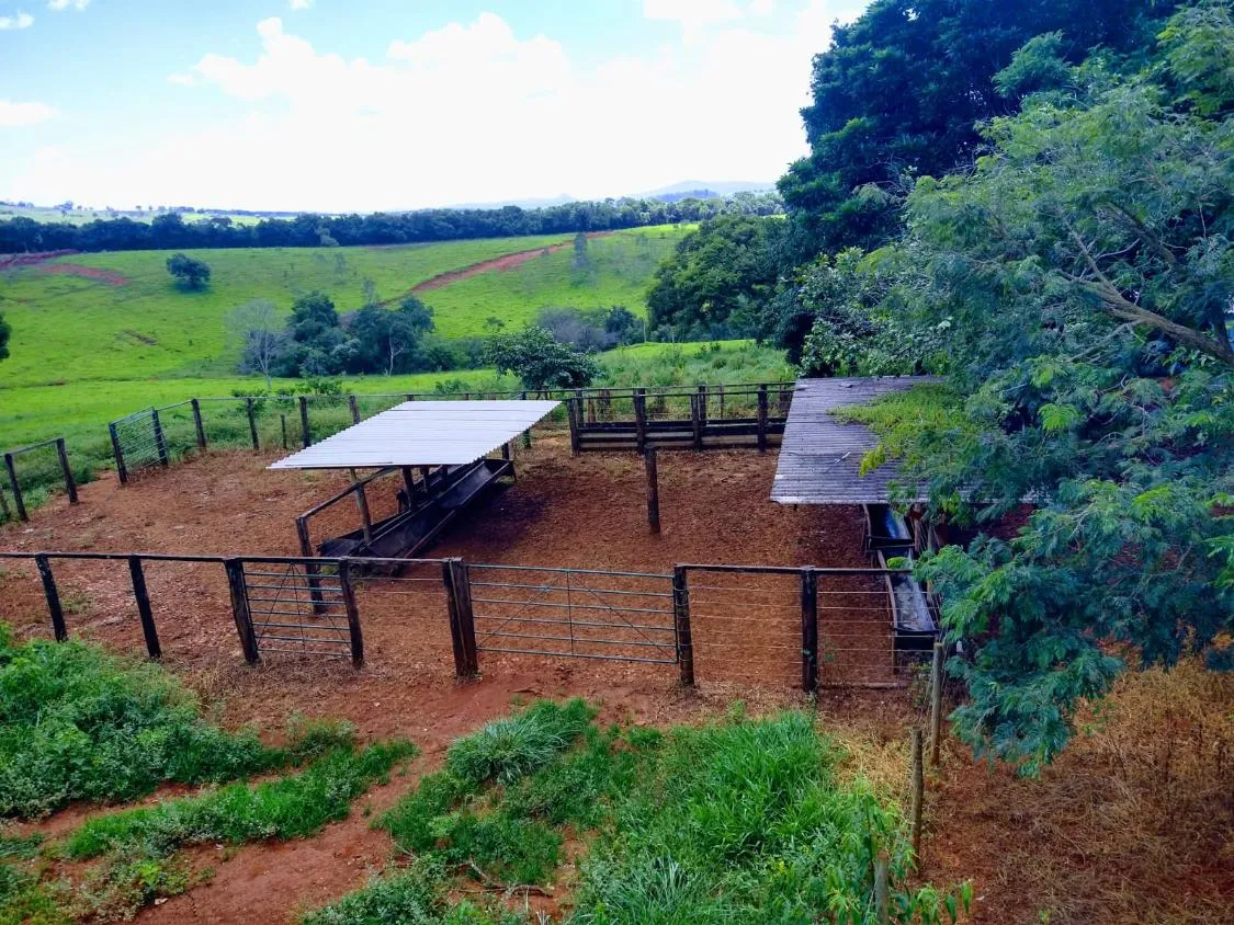 Foto do imóvel Oportunidade Imperdível em São José da Varginha/MG 38 hectares de terra