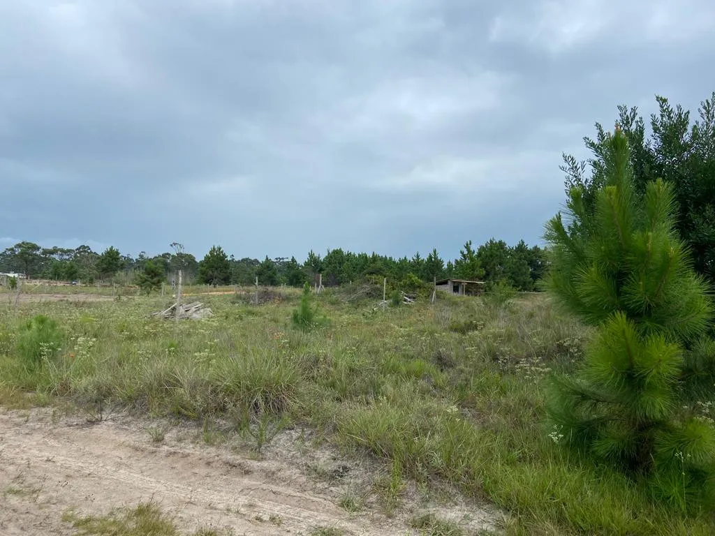 Imagem Terreno à venda em Torres, Centro, 300m2