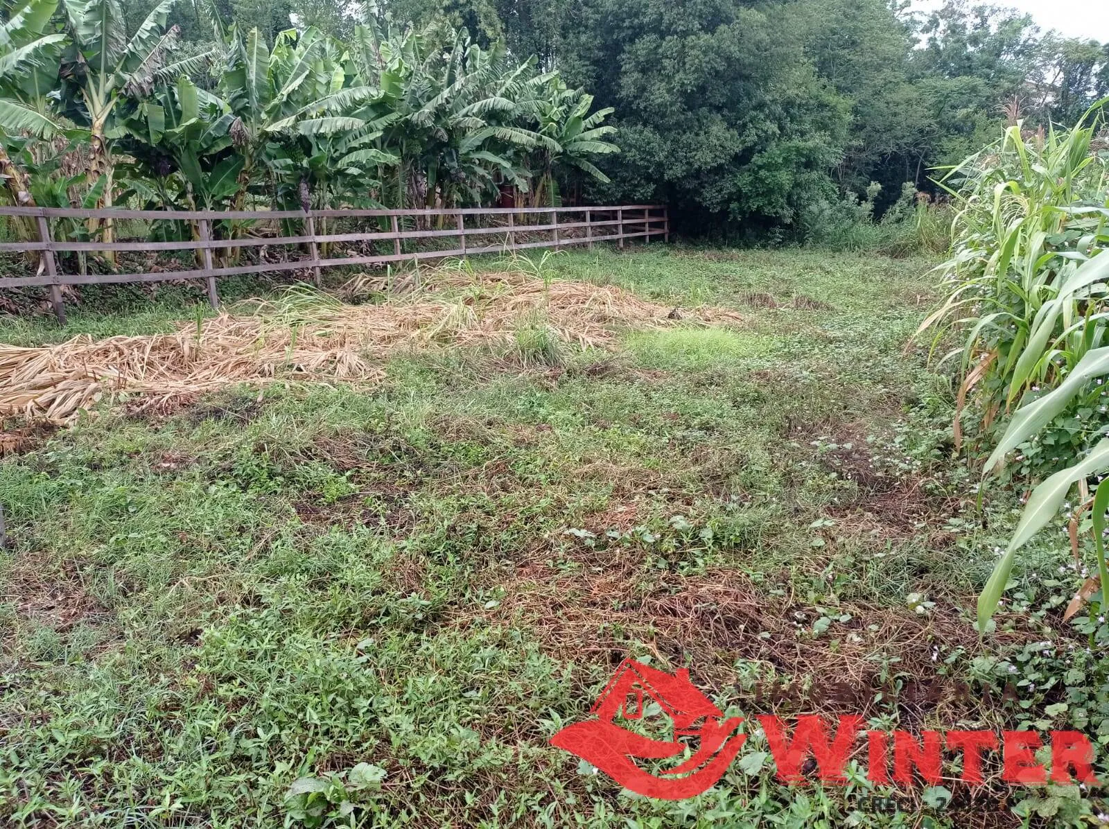 Imagem Terreno de 360m² no Centro de Tupandi.