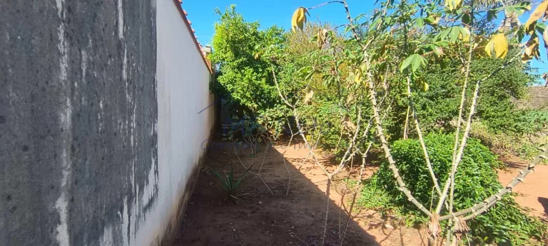Imagem Terreno Padrão