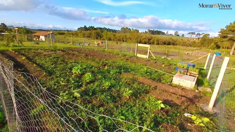 Imagem Chácara para Venda em Tijucas do Sul, Ambrósio