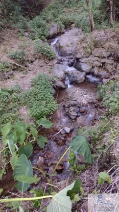 Imagem Rural - Chácara, para Venda em Rio dos Cedros/SC