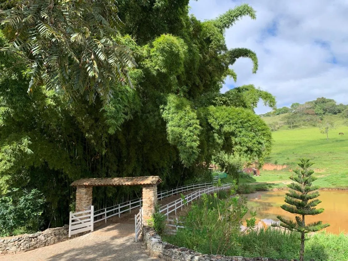 Imagem Vendo uma fazenda de 138 hectares em Passatempo/MG,