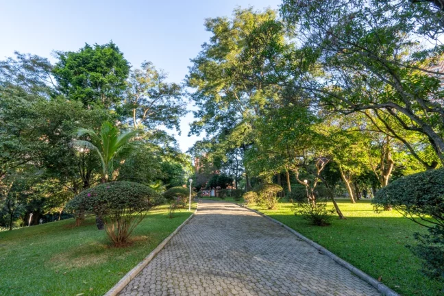 Imagem Apartamento à venda em São Paulo, Vila Morse, com 4 quartos, 225m2